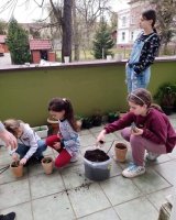 zdjęcie dzieci w trakcie sadzenia roślin