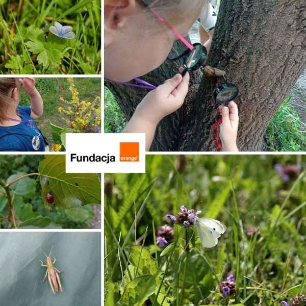 kolaż zdjęć dzieci z lupami i kwiatami oraz zdjęcia motyli i owadów, pośrodku logo fundacji orange