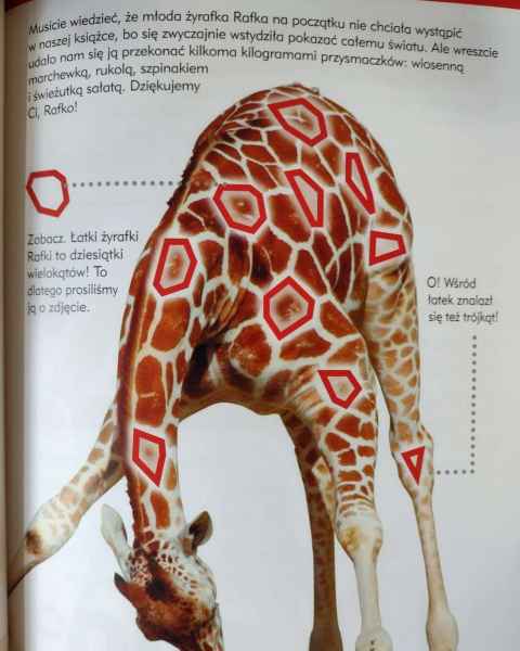 zdjęcie strony książki z żyrafą jako przykład wielokątów